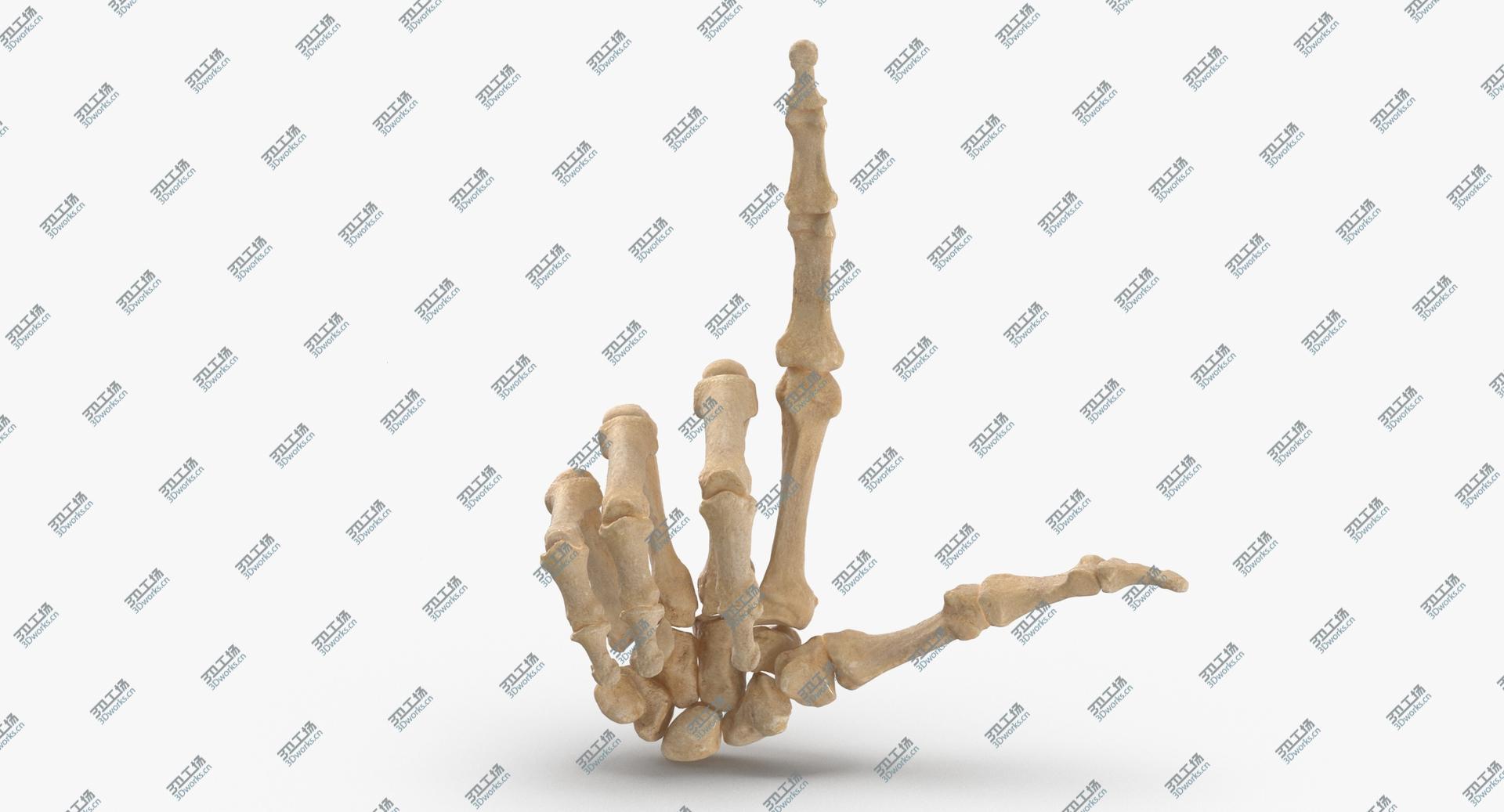 images/goods_img/2021040234/3D Real Human Hand Bones Loser Sign/2.jpg